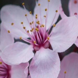 Meet your Posher, Nikki